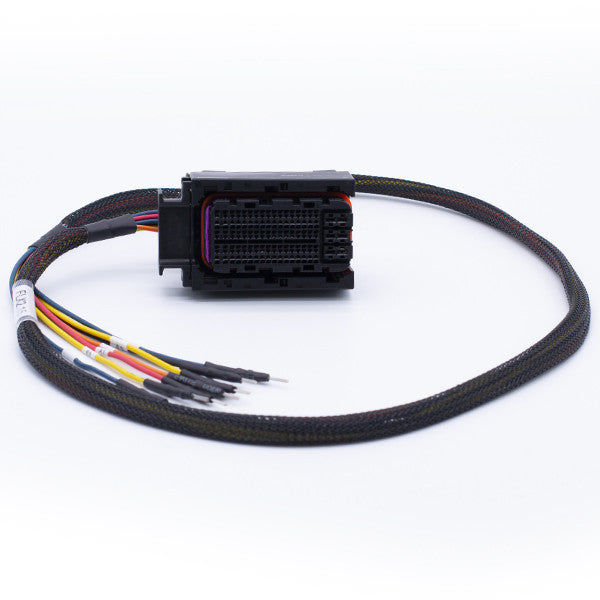 Cable de conexión: FLEXBox a Marelli MM10J